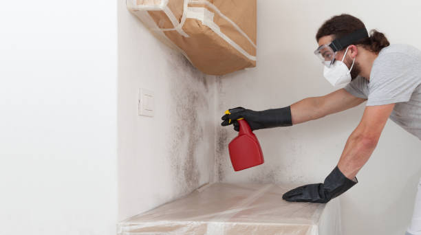 Professional Bathroom Mold Removal technician working in Leesburg, VA