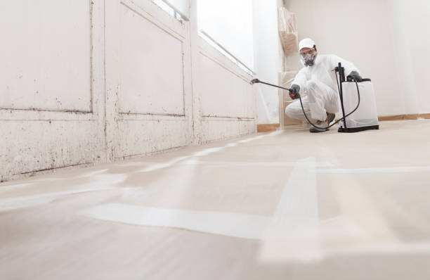 24/7 Emergency Bathroom Mold Removal experts in Leesburg, VA