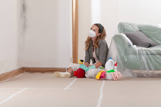 Reliable Bathroom Mold Removal contractor in Leesburg, VA by Mold Remediation HQ
