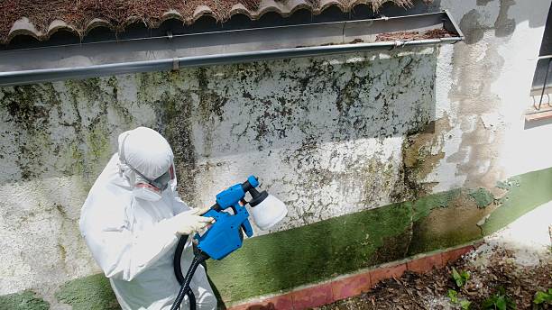 Top rated local Bathroom Mold Removal specialists in Leesburg, VA